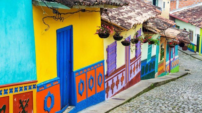 Colombie Cauca Popayan Las Guzmanias