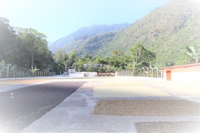 Guatemala | Huehuetenango Bio