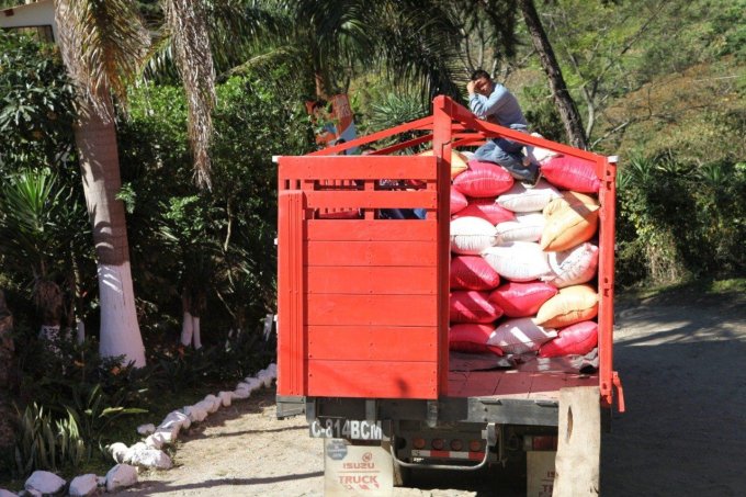 Guatemala | Huehuetenango Bio