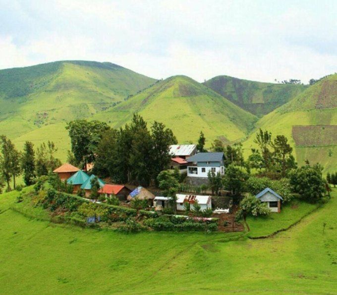Malawi Ngapani Estate