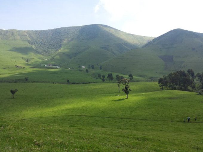 Malawi Ngapani Estate