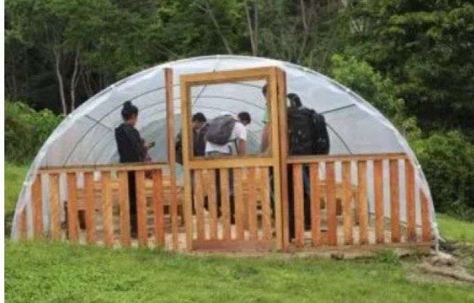 Pérou | Amazonas Faitrade bio