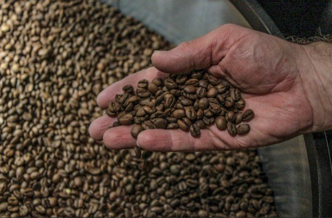 Pérou | Amazonas Faitrade bio