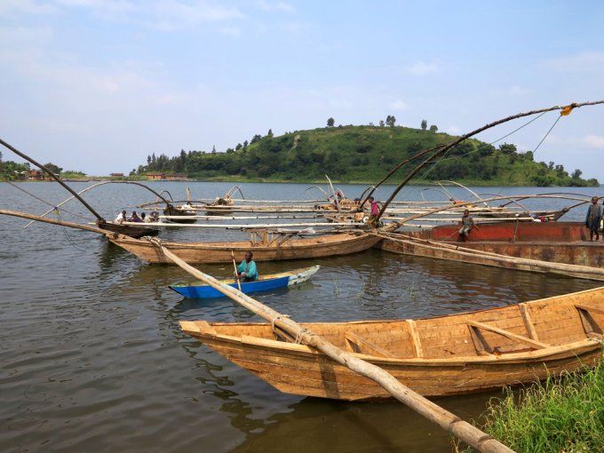Malawi Ngapani Estate